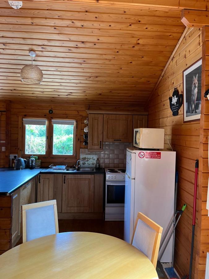 Red Squirrel Lodge Голуей Екстериор снимка